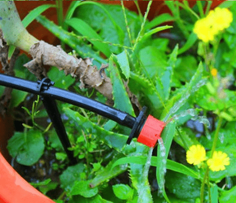 25M Mini Drip Watering System Farm Sprinkler Lawn Plant Bloom Auto - Yahko Merchandise