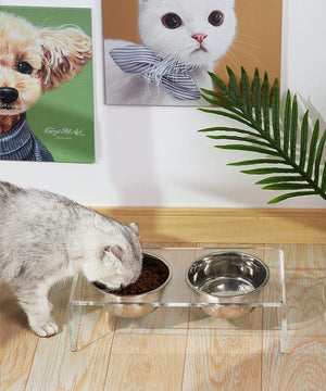 Acrylic Dogs And Cats Pet Feeder Small Cat Dog Feeding Rack - Yahko Merchandise
