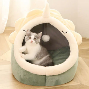 Adorable Dinosaur Pet House with Toy - Yahko Merchandise