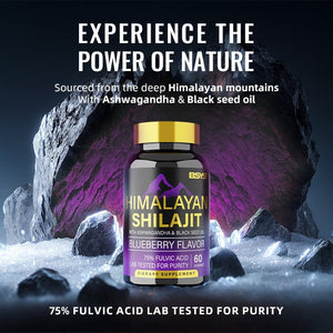 BSYS SHILAJIT GUMMIES 60'S - Yahko Merchandise