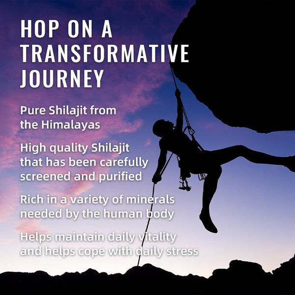 BSYS SHILAJIT GUMMIES 60'S - Yahko Merchandise