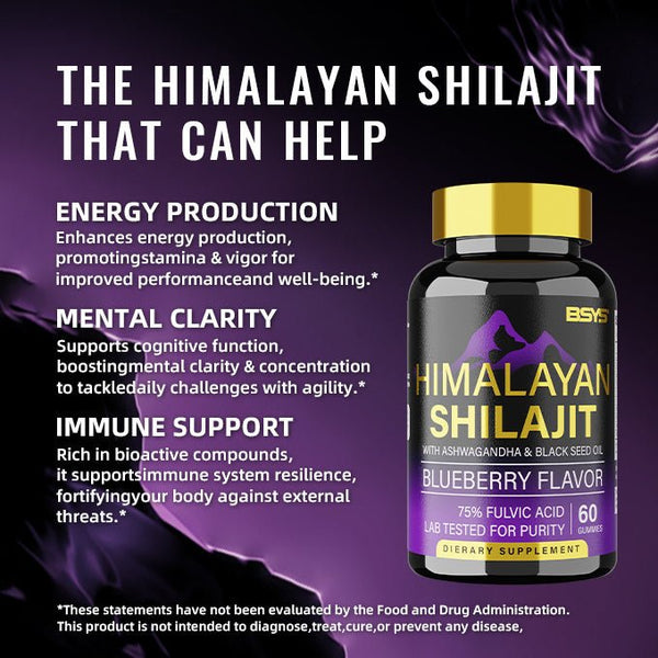 BSYS SHILAJIT GUMMIES 60'S - Yahko Merchandise