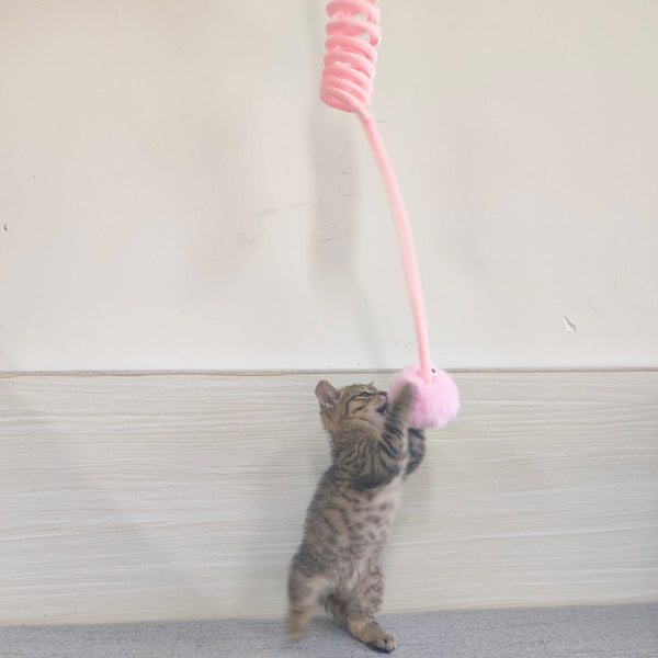 Cat Toy Self - Hi Sucker Spring Rabbit Hair Ball Interactive Play Pet Supplies Interactive Toys - Yahko Merchandise