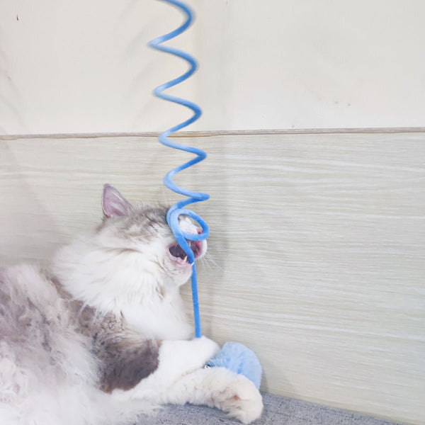 Cat Toy Self - Hi Sucker Spring Rabbit Hair Ball Interactive Play Pet Supplies Interactive Toys - Yahko Merchandise
