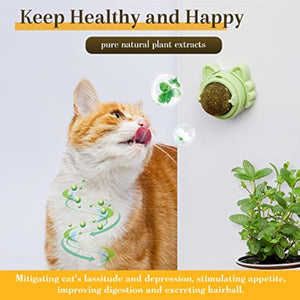 Catnip Balls That Stick On Wall Catnip Balls For Cat Catnip Toys For Cats Healthy Kitty Teeth Cleaning Dental Chew Toys Cat Wall Treats - Yahko Merchandise
