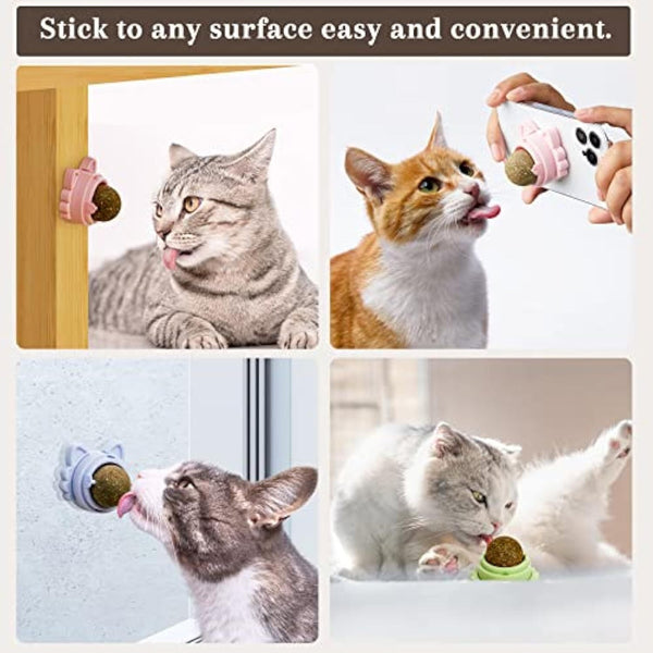 Catnip Balls That Stick On Wall Catnip Balls For Cat Catnip Toys For Cats Healthy Kitty Teeth Cleaning Dental Chew Toys Cat Wall Treats - Yahko Merchandise