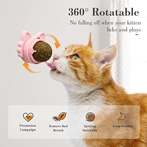 Catnip Balls That Stick On Wall Catnip Balls For Cat Catnip Toys For Cats Healthy Kitty Teeth Cleaning Dental Chew Toys Cat Wall Treats - Yahko Merchandise