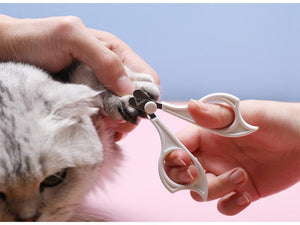 Cats Wool Pet Hair Deshedding Brush Set Comb - Yahko Merchandise