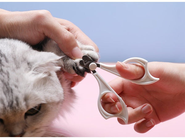 Cats Wool Pet Hair Deshedding Brush Set Comb - Yahko Merchandise