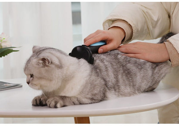Cats Wool Pet Hair Deshedding Brush Set Comb - Yahko Merchandise