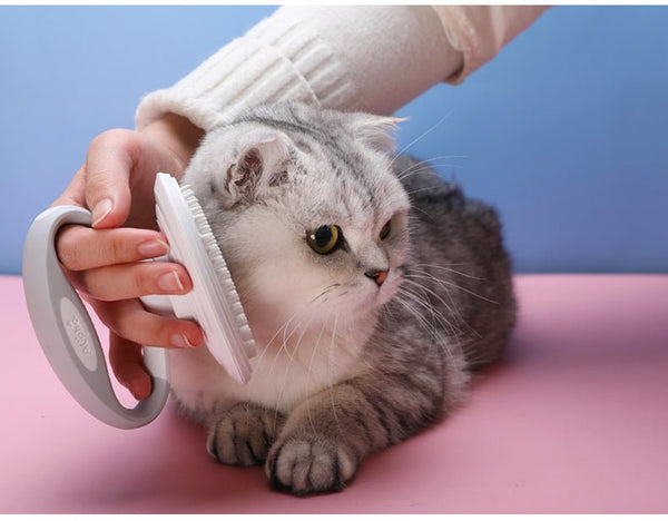 Cats Wool Pet Hair Deshedding Brush Set Comb - Yahko Merchandise