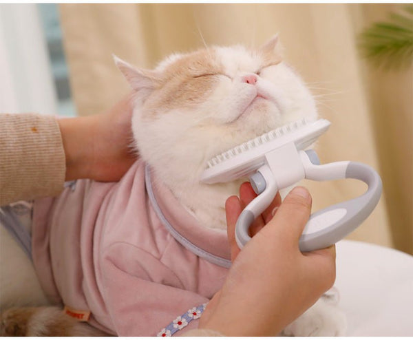 Cats Wool Pet Hair Deshedding Brush Set Comb - Yahko Merchandise