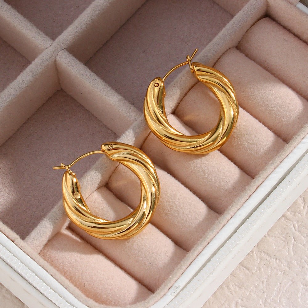 Denisse Twisted Hoop Earrings - Yahko Merchandise