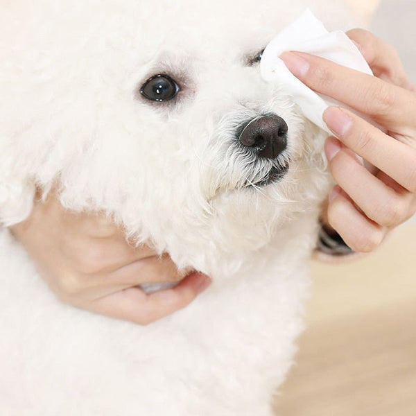 Deodorant Wipes Tears Care Pet Wipes - Yahko Merchandise