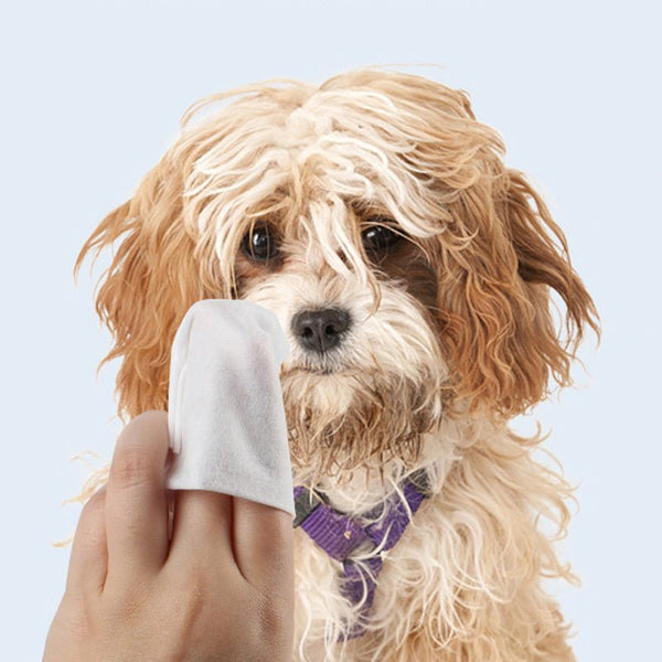 Deodorant Wipes Tears Care Pet Wipes - Yahko Merchandise