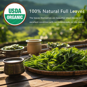 Detox Cleanse Tea Natural Herbal Tea Bags Oolong Leaf For Lung Cleanse Congestion Relief Herbal Detox Caffeine - Free Non - GMO Organic For Gut Health Immune Boost - Yahko Merchandise