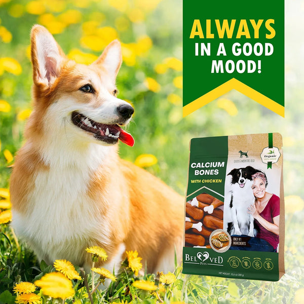 Dog Calcium Bones Wrapped Chicken & Rawhide Free Chew Treats Pet Healthy Dried Snacks Grain Free Organic Meat Chews For Training Small Large Dogs - Yahko Merchandise