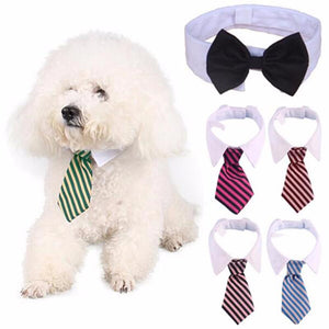 Dog Grooming Cat Striped Bow Tie Collar Pet Adjustable Neck Tie White - Yahko Merchandise