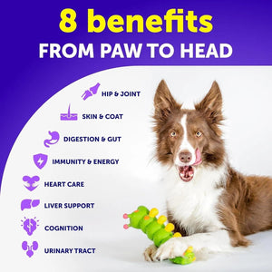 Dog Multivitamin Chewable With Glucosamine 20 In 1 Dog Vitamins And Supplements Senior & Puppy Multivitamin For Dogs Pet Joint Support Health Immunity Mobility Gut Skin 120 Chews - Yahko Merchandise