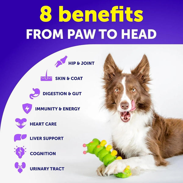 Dog Multivitamin Chewable With Glucosamine 20 In 1 Dog Vitamins And Supplements Senior & Puppy Multivitamin For Dogs Pet Joint Support Health Immunity Mobility Gut Skin 120 Chews - Yahko Merchandise