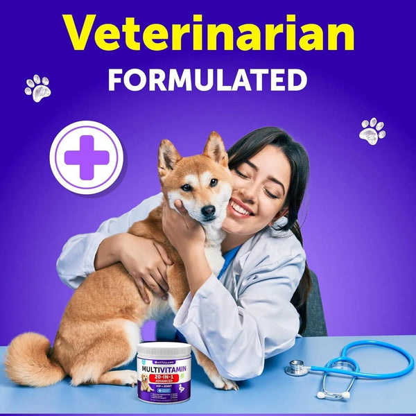 Dog Multivitamin Chewable With Glucosamine 20 In 1 Dog Vitamins And Supplements Senior & Puppy Multivitamin For Dogs Pet Joint Support Health Immunity Mobility Gut Skin 120 Chews - Yahko Merchandise