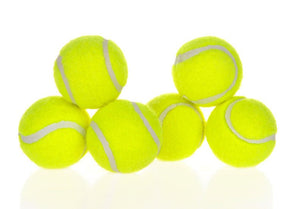 Dog Pet Automatic Interactive Ball Launcher - Yahko Merchandise