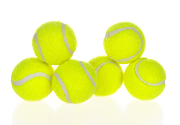 Dog Pet Automatic Interactive Ball Launcher - Yahko Merchandise