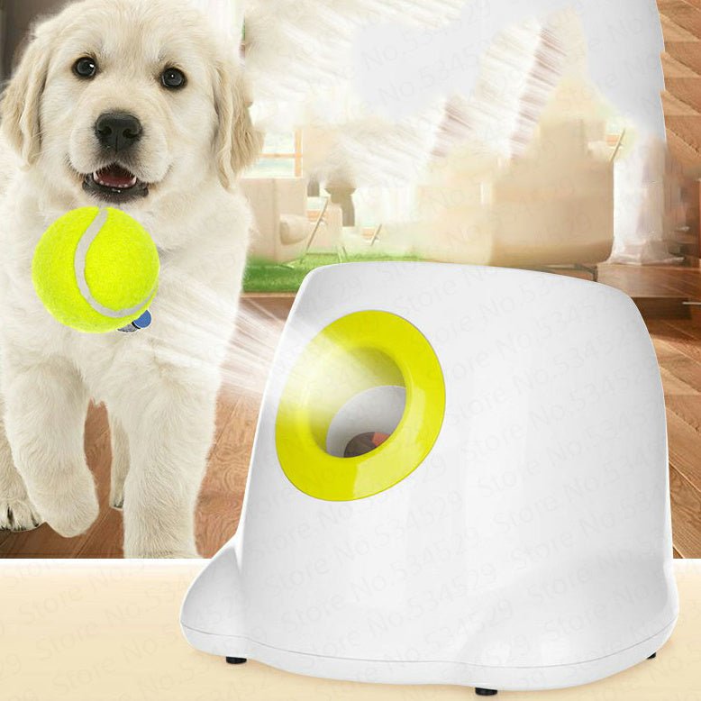 Dog Pet Automatic Interactive Ball Launcher - Yahko Merchandise