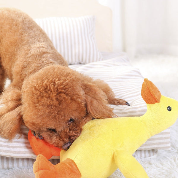 Dog Plush Toy Pet Vocal Toy Huayuan Pet - Yahko Merchandise