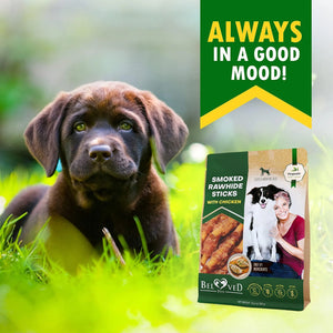 Dog Smoked Rawhide Sticks Wrapped Chicken Pet Natural Chew Treats Grain Free Organic Meat Healthy Human Grade Dried Snacks In Bulk - Yahko Merchandise