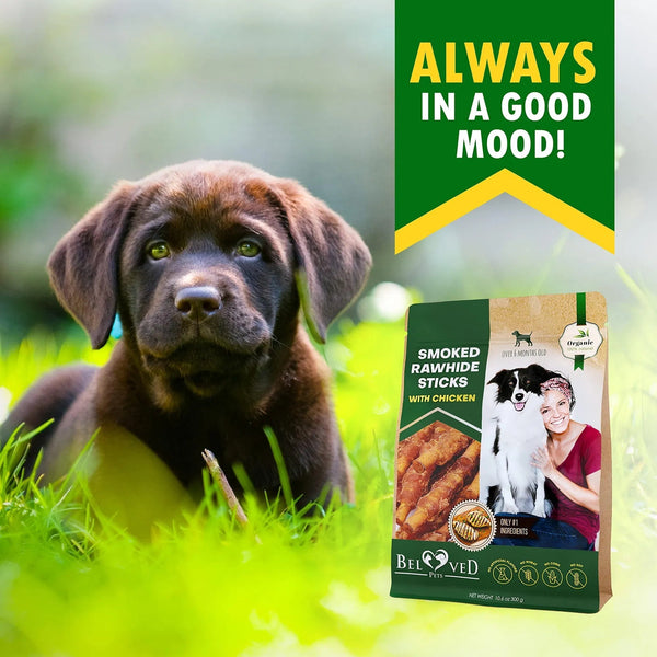 Dog Smoked Rawhide Sticks Wrapped Chicken Pet Natural Chew Treats Grain Free Organic Meat Healthy Human Grade Dried Snacks In Bulk - Yahko Merchandise