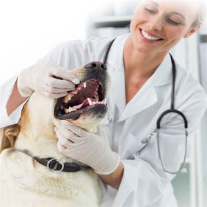 Dog toothpaste - Yahko Merchandise