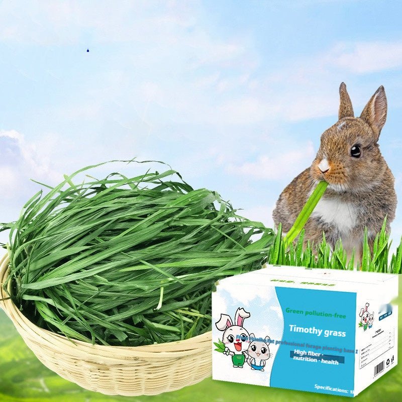 Dried Timothy FCL Hay Snacks Feed Chinchilla Guinea Pig Food Rabbits Pet Products - Yahko Merchandise