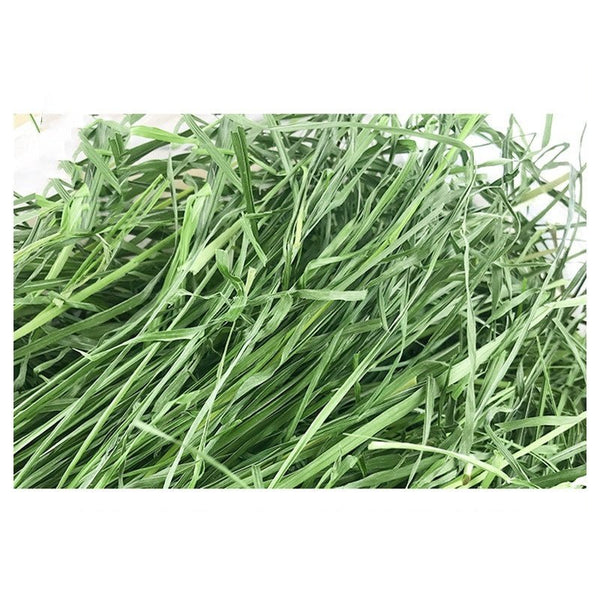 Dried Timothy FCL Hay Snacks Feed Chinchilla Guinea Pig Food Rabbits Pet Products - Yahko Merchandise