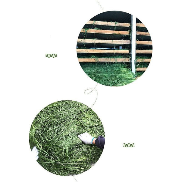 Dried Timothy FCL Hay Snacks Feed Chinchilla Guinea Pig Food Rabbits Pet Products - Yahko Merchandise