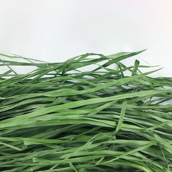 Dried Timothy FCL Hay Snacks Feed Chinchilla Guinea Pig Food Rabbits Pet Products - Yahko Merchandise