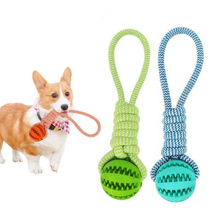 Durable Rubber Ball Chew Toy with Cotton Rope - Yahko Merchandise
