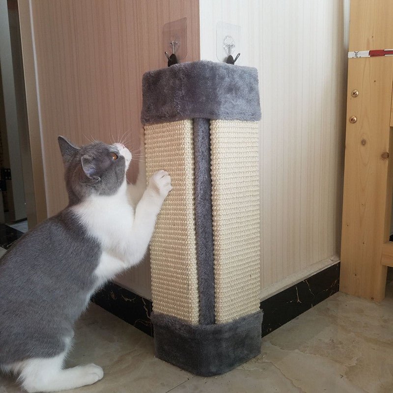 Foldable Environmentally Friendly Pet Toy Cat Scratcher - Yahko Merchandise