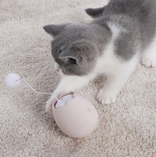 Funny cat artifact cat toys - Yahko Merchandise