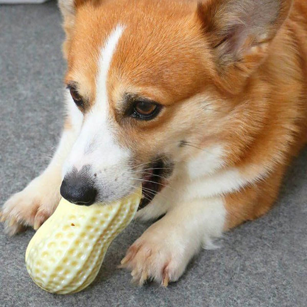 Funny Pet Dog Squeaky Toys For Small Middle Dogs Bite Resistant Puppy Cat Dogs Toys Pets Rubber Peanut Clean Tooth Chew Toy - Yahko Merchandise