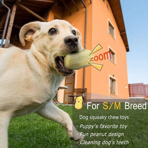 Funny Pet Dog Squeaky Toys For Small Middle Dogs Bite Resistant Puppy Cat Dogs Toys Pets Rubber Peanut Clean Tooth Chew Toy - Yahko Merchandise
