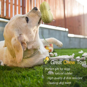 Funny Pet Dog Squeaky Toys For Small Middle Dogs Bite Resistant Puppy Cat Dogs Toys Pets Rubber Peanut Clean Tooth Chew Toy - Yahko Merchandise