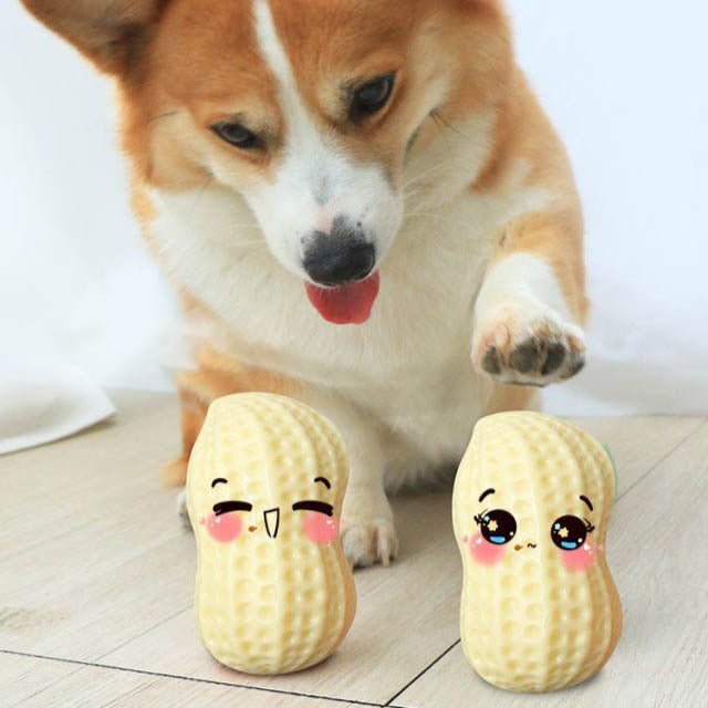 Funny Pet Dog Squeaky Toys For Small Middle Dogs Bite Resistant Puppy Cat Dogs Toys Pets Rubber Peanut Clean Tooth Chew Toy - Yahko Merchandise