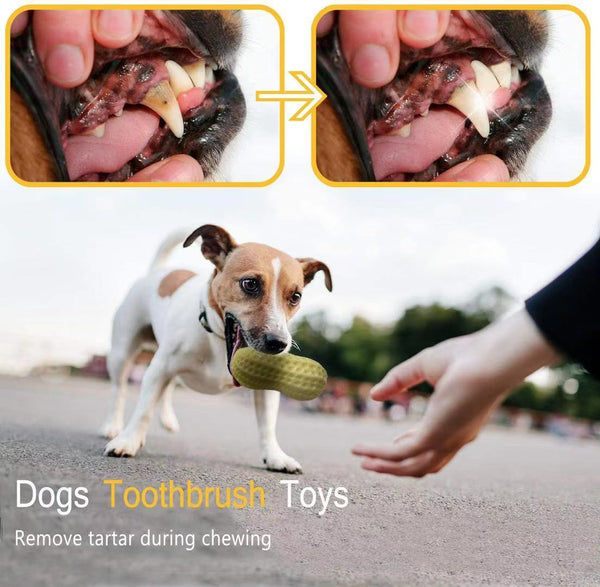 Funny Pet Dog Squeaky Toys For Small Middle Dogs Bite Resistant Puppy Cat Dogs Toys Pets Rubber Peanut Clean Tooth Chew Toy - Yahko Merchandise