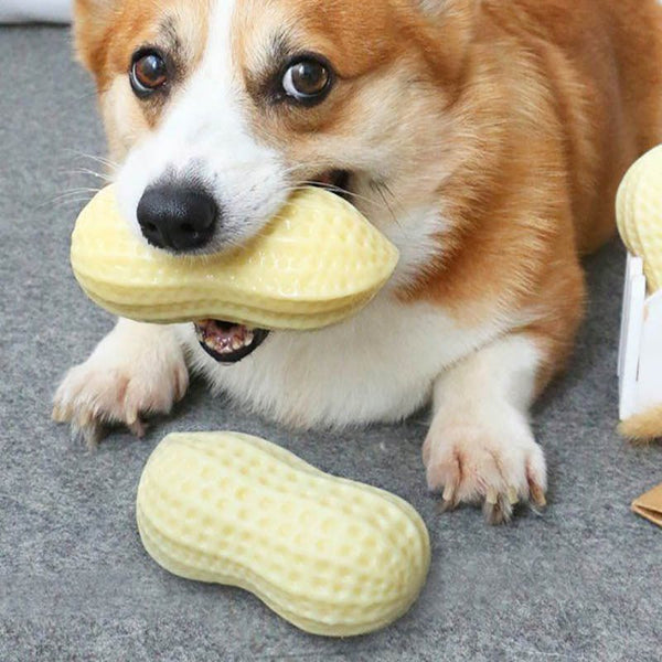 Funny Pet Dog Squeaky Toys For Small Middle Dogs Bite Resistant Puppy Cat Dogs Toys Pets Rubber Peanut Clean Tooth Chew Toy - Yahko Merchandise