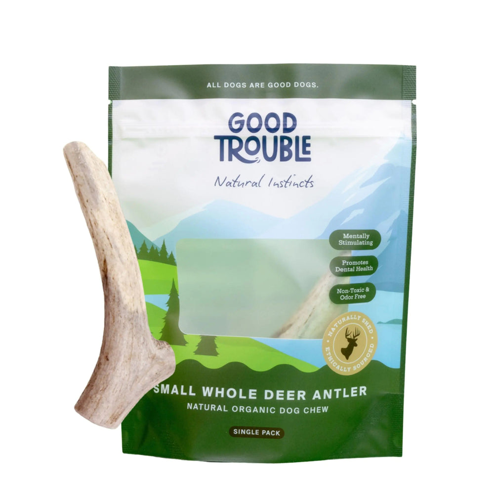 Good Trouble Pets All - Natural Shed Premium Antler Dog Chews - North American Sourced Deer Antlers for Dental Health & Anxiety Relief - Odor - Free & Non - Toxic Chew Toys for Dogs 1 Whole Antler Small - Yahko Merchandise