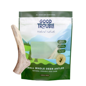 Good Trouble Pets All - Natural Shed Premium Antler Dog Chews - North American Sourced Deer Antlers for Dental Health & Anxiety Relief - Odor - Free & Non - Toxic Chew Toys for Dogs 1 Whole Antler Small - Yahko Merchandise