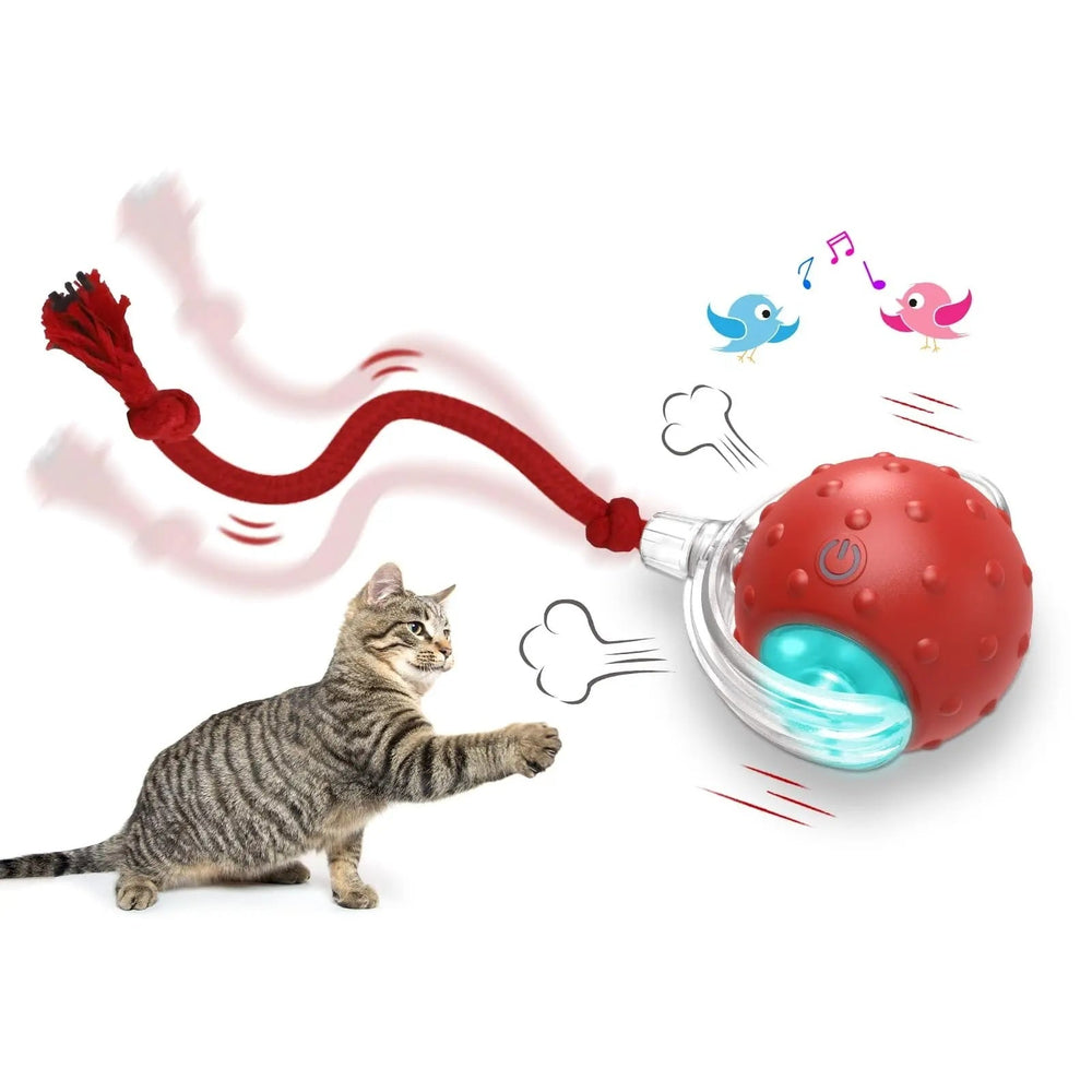 Interactive Cat Toy Ball Super Drive Cat Rolling Ball - Yahko Merchandise