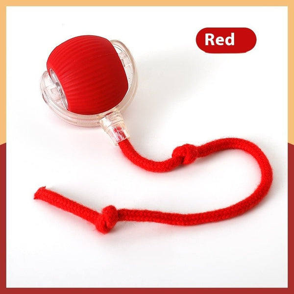 Interactive Cat Toy Ball Super Drive Cat Rolling Ball - Yahko Merchandise