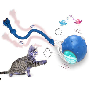 Interactive Cat Toy Ball Super Drive Cat Rolling Ball - Yahko Merchandise